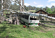 Australia, New South Wales, blue mountains, great dividing range, transport, transportation, vehicle, vehicles, bus, buses, storm, storms, disaster, disasters, gum tree, gum trees, eucalyptus, PL69,