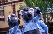 Christmas, christmas scene, christmas scenes, australia, sa, south australia, parade, parades, christmas parade, christmas parades, entertainment, festival, festivals, norwood christmas parade, pageant, pageants, koala, koalas, police, police force, emergency service, emergency services, law, law enforcer, law enforcement, law and order.