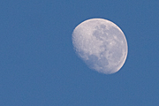 Moon, moons, the moon, circle, circles, moonrise, moonrises, sky, skies, sky scene, sky scenes, planet, planets, terrestrial planet