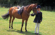Animal, animals, horse, horses, people, child, children, girl, girls, female, females, saddle, saddles, smile, smiles, smiling, outdoors, bridle, bridles, hat, hats, rein, reins, Australia, Sport pictures, Sports, balloon images, hot air balloons