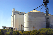 Australia, sa, south australia, silo, silos, grain, sign, signs, sacbh, bush, bushes, storage, agriculture, industry, Rural, Rural Scene, Rural Scenes, Farming, Farmland, farm, farms, Agriculture, storage, grain storage, grain silo, grain silos, silo, silos, cereal, cereals, cereal storage, rural, rural scene, rural scenes.