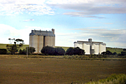 Rural, Rural Scene, Rural Scenes, Farming, Farmland, farm, farms, Agriculture, storage, grain storage, grain silo, grain silos, silo, silos, cereal, cereals, cereal storage, rural, rural scene, rural scenes, sa, south australia, australia.