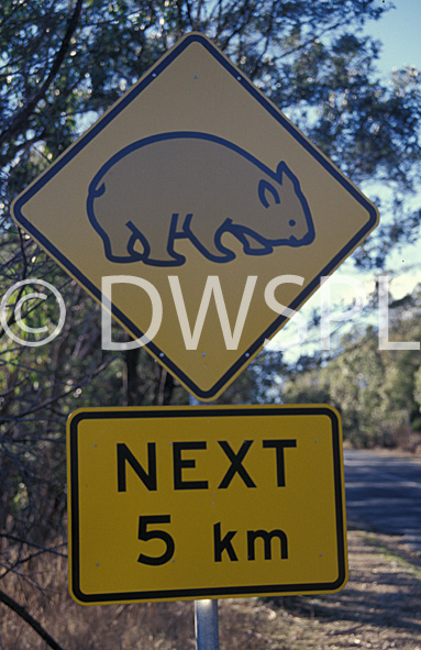 stock photo image: Australia, New South Wales, sydney, sign, signs, roadsign, roadsigns, road sign, road signs, wombat, wombats, warning, warning sign, warning signs, australian mammal, australian mammals.