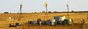 Australia, sa, south australia, penong, sheep, windmill, windmills, outback, australian outback, outback australia.