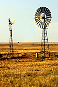 Australia, sa, south australia, sheep, penong, windmill, windmills, outback, australian outback, outback australia, road, roads, dirt, dirt road, dirt roads, unsealed, unsealed road, unsealed roads.