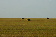 Australia, sa, south australia, Rural, Rural Scene, Rural Scenes, Agriculture, farm, farms, Farming, Farmland, farm, farms, hay, bale, bales, baler, balers, hay bale, hay bales, crop, crops, straw, straw bale, straw bales.