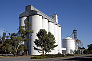 Australia, sa, south australia, farm, farms, silo, silos, DFF, DFFAGRIC.