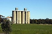 Australia, vic, victoria, farm, farms, silo, silos, tree, trees, fence, fences, Rural, Rural Scene, Rural Scenes, Farming, Farmland, farm, farms, Agriculture, storage, grain storage, grain silo, grain silos, silo, silos, cereal, cereals, cereal storage, rural, rural scene, rural scenes.