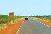 Australia, wa, western australia, old northern road, road, roads, sealed, sealed road, sealed roads, sign, signs, caution, caution sign, cautions signs, cattle, kangaroo, kangaroos, stray, stray animal, stray animals.