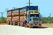 Australia, wa, western australia, power, power line, power lines, transport, transportation, vehicle, vehicles, heavy vehicle, heavy vehicles, truck, trucks, road train, road trains, roadtrain, roadtrains.