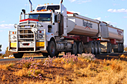Australia, transport, transportation, vehicle, vehicles, heavy vehicle, heavy vehicles, truck, trucks, road train, road trains, roadtrain, roadtrains, sign, signs, wild, flower, flowers, wildflower, wildflowers, tall mulla mulla, mulla mulla, tall mulla-mulla, mulla-mulla, ptilotus, ptilotus exaltatus, outback, australian outback, outback australia, ptilotus exaltatusVF02,
