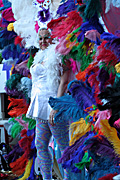 Australia, New South Wales, sydney, parade, parades, mardi gras, gay mardi gras, entertainment, festival, festivals, lesbian, lesbians, homosexual, homosexuals, gay, gays, gay and lesbian mardi gras, feather, feathers.