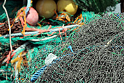 Australia, New South Wales, sydney, market, markets, sydney markets, fish market, fish markets, net, nets, fishing net, fishing nets.