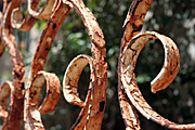 Australia, New South Wales, sydney, architecture, house, houses, housing, terrace, terraces, terrace house, terrace houses, fence, fences, rust, rusts, rusted, rusty, rusting.
