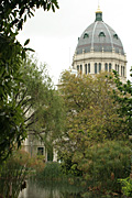 Australia, vic, victoria, melbourne, architecture, pond, ponds, royal exhibition building, exhibition building, carlton, carlton gardens, dome, domes, tree, trees, park, parks.