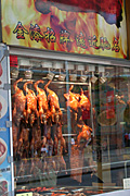 Australia, New South Wales, sydney, sign, signs, chinatown, dixon, dixon street, shop, shops, chicken, chickens.