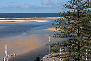 Australia, New South Wales, tuggerah, tuggerah lakes, tuggerah lake, central, central coast, entrance, the entrance, lake, lakes, coast, coasts, coastal, coastline, coastlines, tree, trees.