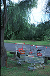 Australia, trolley, trolleys, shopping trolley, shopping trolleys, dumped shopping trolley, dumped shopping trolleys, road, roads, sealed road, sealed roads, pollution.