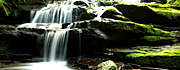 Australia, New South Wales, blue mountains, great dividing range, Leura, Leura Cascades, waterfall, waterfalls, forest, forests, rainforest, rainforests, fern, ferns, water, pond, ponds, creek, creeks, stream, streams, water, MG73,