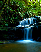 Australia, New South Wales, blue mountains, great dividing range, Leura, Leura Cascades, waterfall, waterfalls, forest, forests, rainforest, rainforests, fern, ferns, water, pond, ponds, creek, creeks, stream, streams, water, MG73,