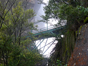 Australia, New South Wales, blue mountains, great dividing range, pedestrian, pedestrians, rainforest, rainforests, forest, forests, bridge, bridges, footbridge, footbridges, pedestrian, pedestrians, MG73,