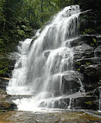 Australia, New South Wales, blue mountains, great dividing range, wentworth, wentworth falls, waterfall, waterfalls, running water, mg73,