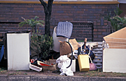 Australia, New South Wales, sydney, rubbish, garbage, pollution, cardboard, paper, cardboard box, cardboard boxes, box, boxes.