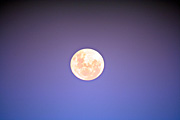 Australia, New South Wales, sydney, moon, the moon, planet, planets.