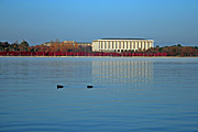 Australia, act, australian capital territory, territory, territories, Canberra, great dividing range, water, lake, lakes, burley griffin, lake burley griffin, library, libraries, national library, national library of australia, architecture, duck, ducks.