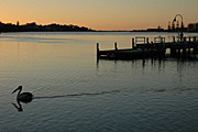 Australia, WA, Western Australia, mandurah, mood, mood scene, mood scenes, sunset, sunsets, sunrises and sunsets, jetty, jetties, bird, birds, pelican, pelicans, australian, australian bird, australian birds, water, JS78,