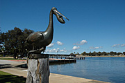 Australia, WA, Western Australia, mandurah, statue, statues, bird, birds, pelican, pelicans, coast, coasts, coastal, coastline, coastlines, JS78,