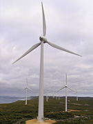 Australia, WA, Western Australia, Esperance, Windmill, Windmills, Renewable Energy, Electricity, Wind Turbines, Wind power, Energy Output