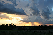 Australia, Atmosphere, Meteorology, Climate, Weather, storm, storms, thunder, thunder storm, thunder storms, nsw, new South Wales, mudgee, storm cloud, storm clouds, PA76,