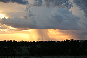 Australia, Atmosphere, Meteorology, Climate, Weather, storm, storms, thunder, thunder storm, thunder storms, nsw, new South Wales, mudgee, storm cloud, storm clouds, PA76,