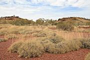 Australia, wa, western australia, pilbara, the pilbara, ophthalmia, ophthalmia range, grass, grasses, spinifex, spinifex grass, outback, australian outback, outback australia, PA76,