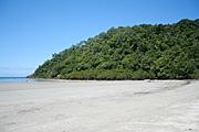Australia, queensland, qld, cape tribulation, tribulation, beach, beaches, queensland beaches, qld beach, coast, coastal, coastline, coastlines, australian beaches, PA76,