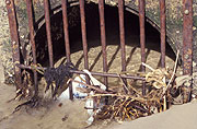 Pollution, pollutants, rubbish, garbage, environmental, drain, drains, water drain, water drains, grill, grills, drain grill, drain grills, litter, water pollution, water, bar, bars, rust, rusts, rusting, rusty, paper, australia.