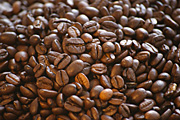 Agriculture, coffee, coffee bean, coffee beans, bean, beans, RM75,