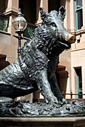 Australia, New South Wales, sydney, sydney hospital, hospital, hospitals, statue, statues, pig, pigs, il porcellino, boar, boars, pietro tacca, art, luck, lucky, wild boar, wild boars.