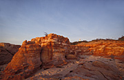 ROCKY COASTLINE, CAPE LEVEQUE, KIMBERLEYS, WESTERN AUSTRALIA