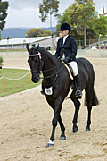 Australia, sa, south australia, adelaide, easter show, easter shows, royal easter show, royal easter shows, show, shows, entertainment, animal, animals, horse, horses, dressage, dressage horse, dressage horses.