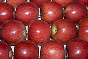 Australia, sa, south australia, adelaide, easter show, easter shows, royal easter show, royal easter shows, show, shows, entertainment, fruit, apple, apples, red, red apple, red apples.