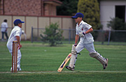 Sport pictures, Sports, swing, swings, cricket, cricket game, cricket games, men, man, bat, bats, cricket bat, people, cricket bats, ball, balls, cricket ball, cricket balls, outdoors.