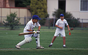 Sport pictures, Sports, swing, swings, cricket, cricket game, cricket games, men, man, bat, bats, cricket bat, people, cricket bats, ball, balls, cricket ball, cricket balls, outdoors.