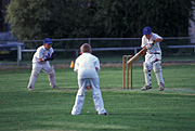 Sport pictures, Sports, swing, swings, cricket, cricket game, cricket games, men, man, bat, bats, cricket bat, people, cricket bats, ball, balls, cricket ball, cricket balls, outdoors.