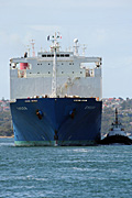Australia, New South Wales, sydney, transport, ship, ships, shipping, freighter, freighters, harbour, DFF, DFFTRANSP, harbours, sydney harbour, sydney harbour bridge, car, cars, vehicle, vehicles, tug, tugs, tug boat, tug boats, tugboat, tugboats.