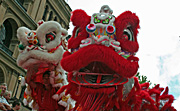Australia, New South Wales, sydney, new year, chinese, chinese new year, chinatown.