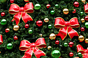 Christmas, christmas scene, christmas scenes, decoration, decorations, christmas decorations, christmas tree, christmas trees.