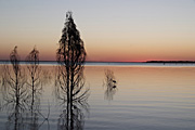 Australia, qld, queensland, maraboon, emerald, lake maraboon, lake, lakes, water, sunset, sunsets, sunrises and sunsets, mood, mood scene, mood scenes.