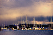 Australia, New South Wales, brisbane water, boat, boats, boating, marina, marinas, NP80,
